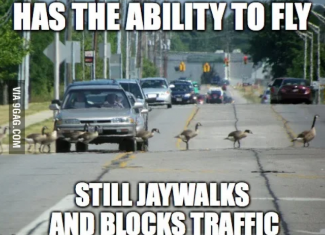 23_12045U536_14_627411021be8e 23_12045U536_14_627411021be8e