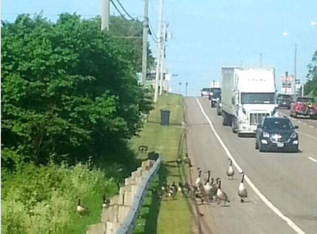 23_12045U536_15_627411020e1f6 23_12045U536_15_627411020e1f6