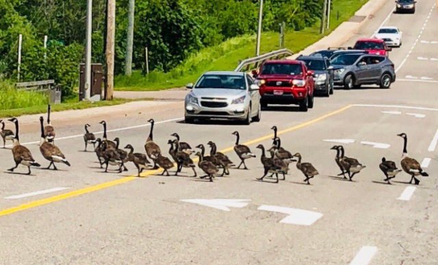 23_12045U536_16_62741102272be 23_12045U536_16_62741102272be