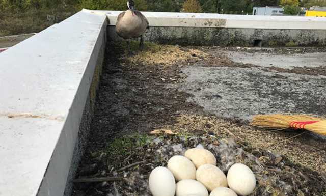 23_12045U536_19_6274110230d61 23_12045U536_19_6274110230d61