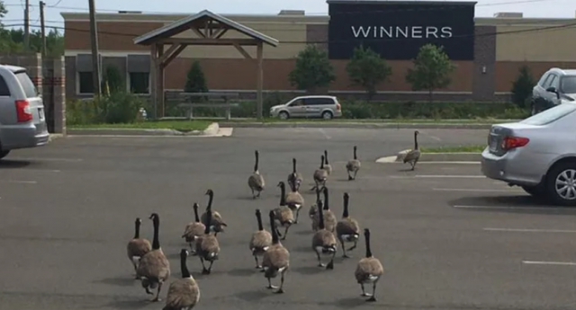 23_12045U536_2_627410ffba08b 23_12045U536_2_627410ffba08b