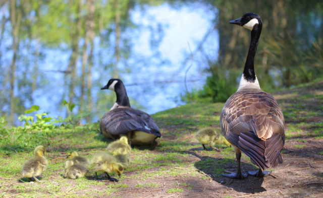 23_12045U536_3_627410ffd8258 23_12045U536_3_627410ffd8258