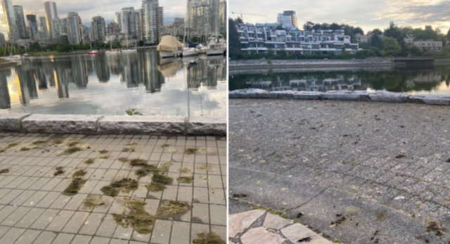 23_12045U536_5_627411003e93d 23_12045U536_5_627411003e93d