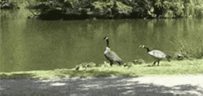 23_12045U536_7_6274110083b7b 23_12045U536_7_6274110083b7b