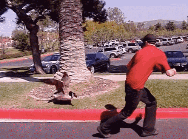 23_12045U536_8_6274110185ea3 23_12045U536_8_6274110185ea3