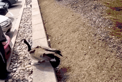 23_12045U536_9_627411018ce08 23_12045U536_9_627411018ce08