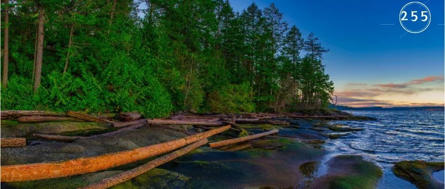 640_627fe9f4bc1ae 640_627fe9f4bc1ae