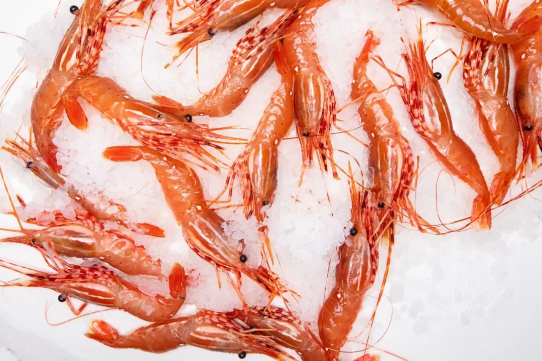 640_627fee5de60e7 640_627fee5de60e7