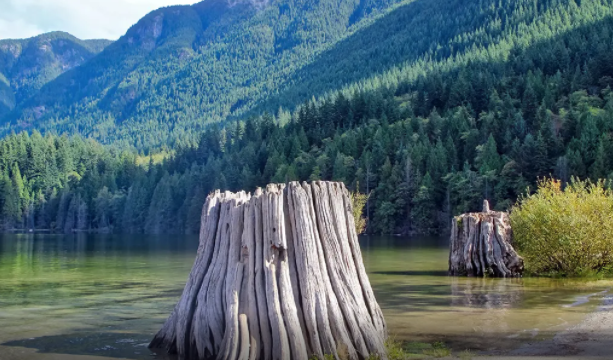 640_628eb82da0679 640_628eb82da0679