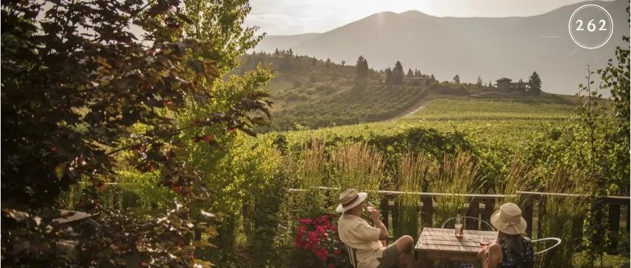 640_6293e90e0fbae 640_6293e90e0fbae