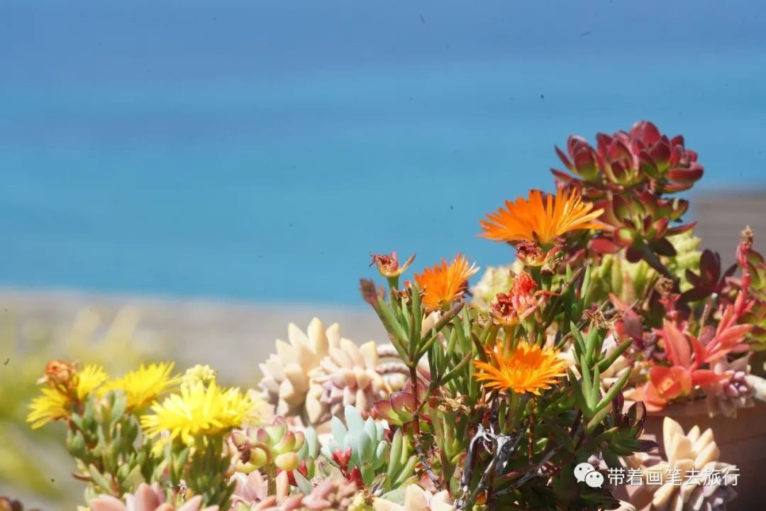 bc74f57ff19c9411ae37a17009f2222a_628573eac0b41