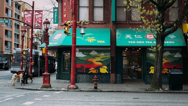chinatown-quartier-chinois-vancouver-art-asiatique-95099_62795cb79f71b