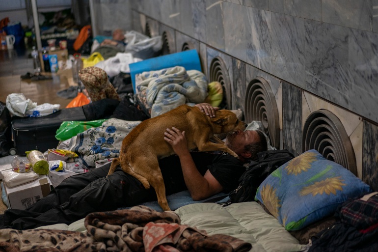 dog_62880b0828b7a