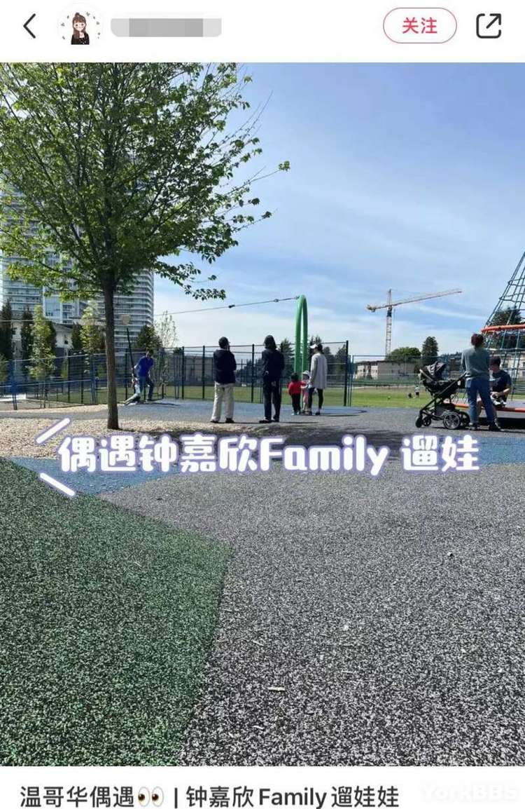 watermark_628d0964770a5