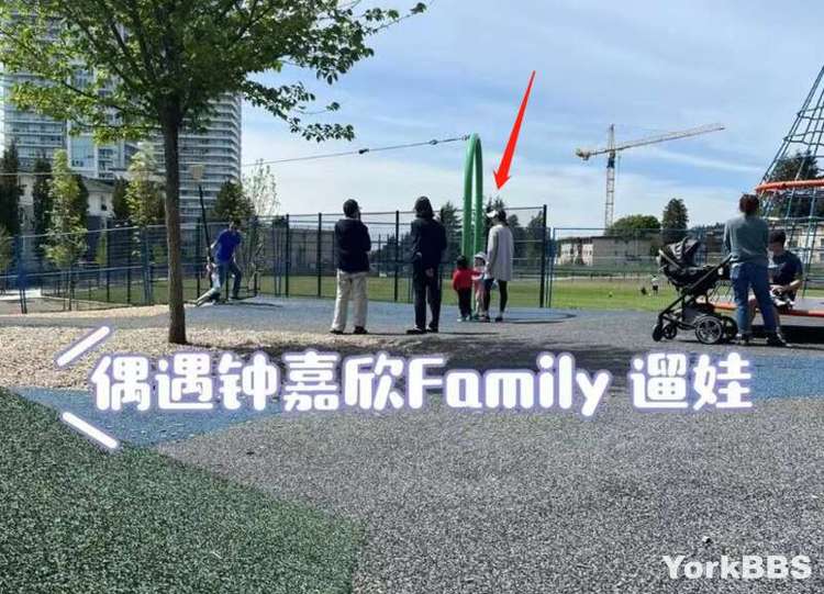 watermark_628d0964ab29a