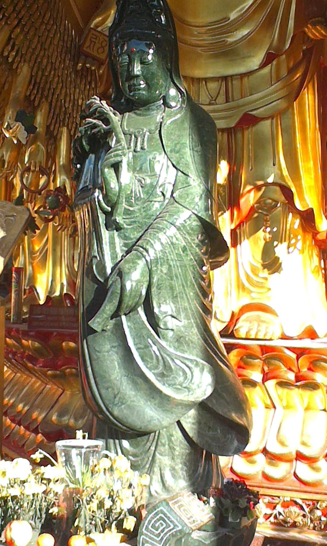 IMAG1987_629a42de63134