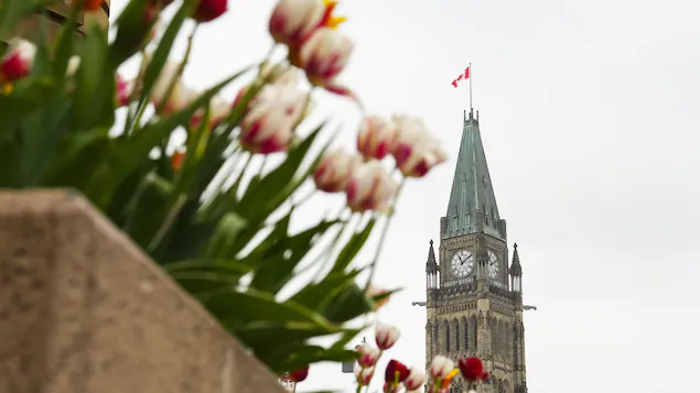 parlement-tulipes-ottawa-soleil-mai-2022_6298f2988a717