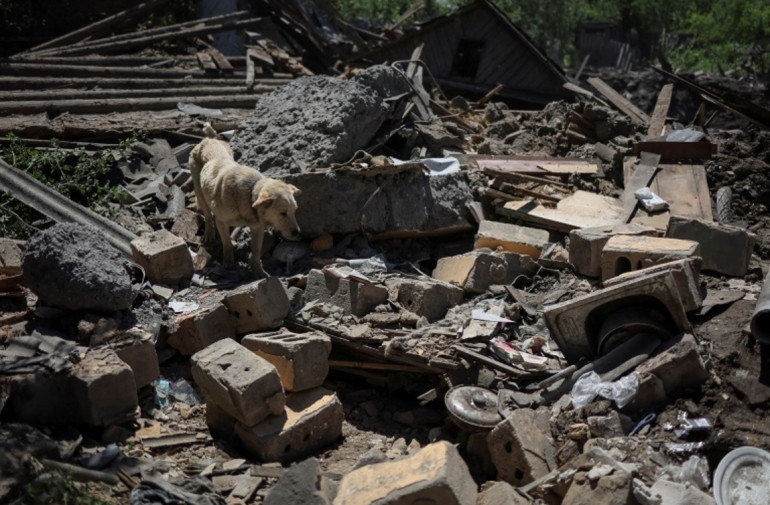 ukraine-dog_62a4d3ee797f0