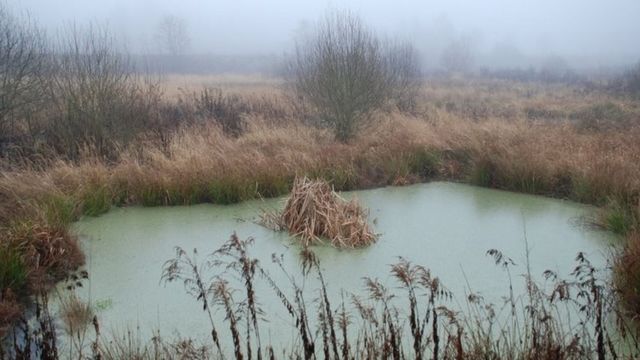 125872285_8032c41f-017b-4be7-9714-bc53d109fdf2_62cef158c4e0b