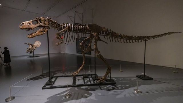 125891286_ce375e47-3210-435f-838e-ed9608e3f727_62cef1575a6b7