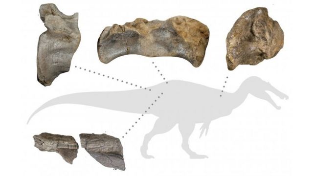 125891288_b30f3457-3866-46c5-9291-3eaa5208a3f5_62cef1575f142