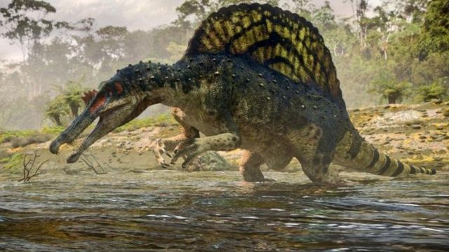 125891292_0659ba64-274b-402a-969f-e26c1dc6bceb_62cef158bc9a8