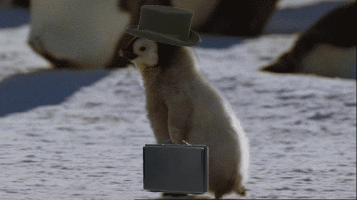 640_h8kxv
