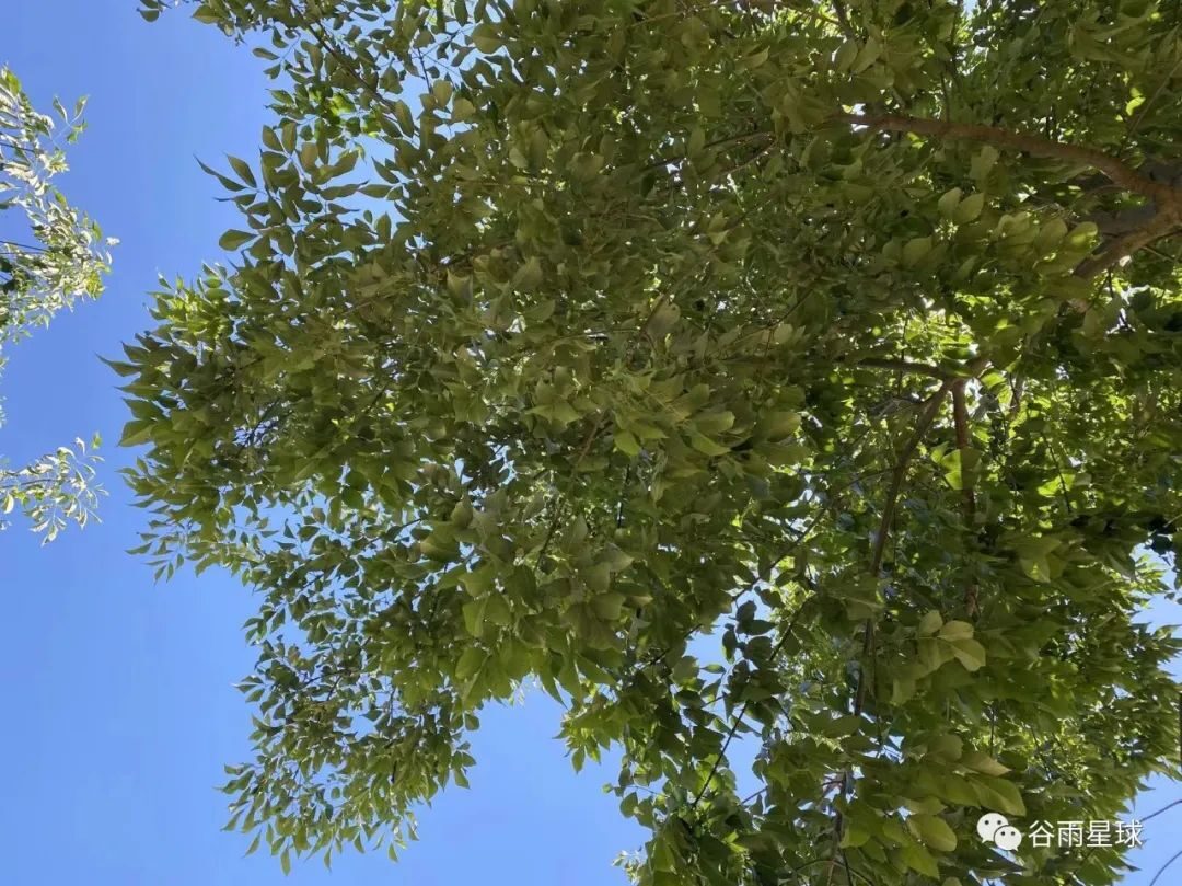 640_dd7o2