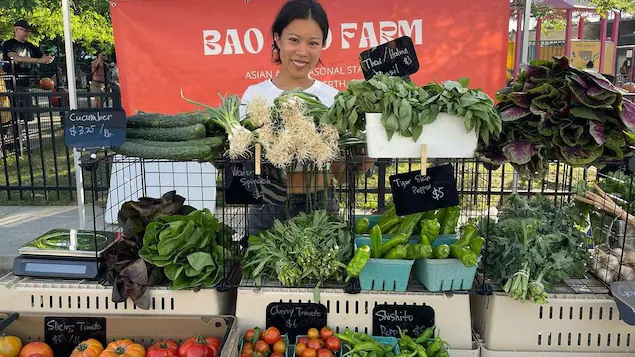 bao-bao-farm-shini-ko-asian-vegetable-61669_bcaym bao-bao-farm-shini-ko-asian-vegetable-61669_bcaym