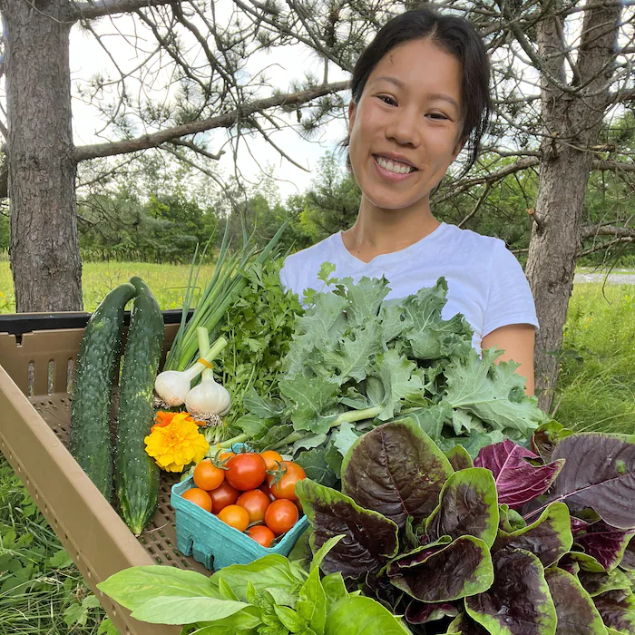 bao-bao-farm-shini-ko-asian-vegetable_65z1u bao-bao-farm-shini-ko-asian-vegetable_65z1u