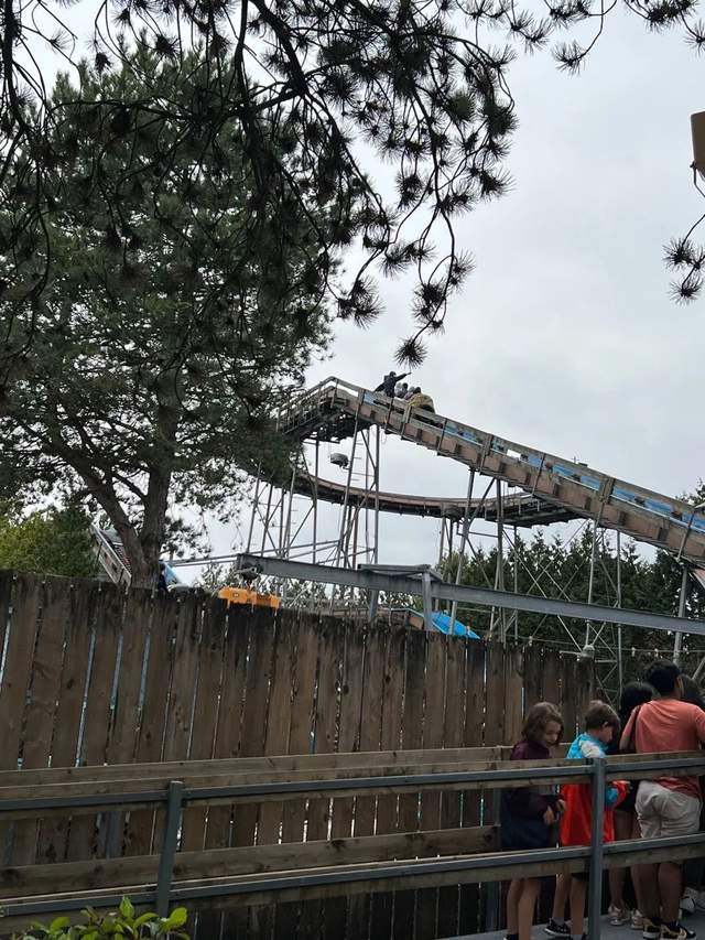 14261c32e3284df88d8f50ebe61132a9tplv-tt-shrink6400.image_4rs64