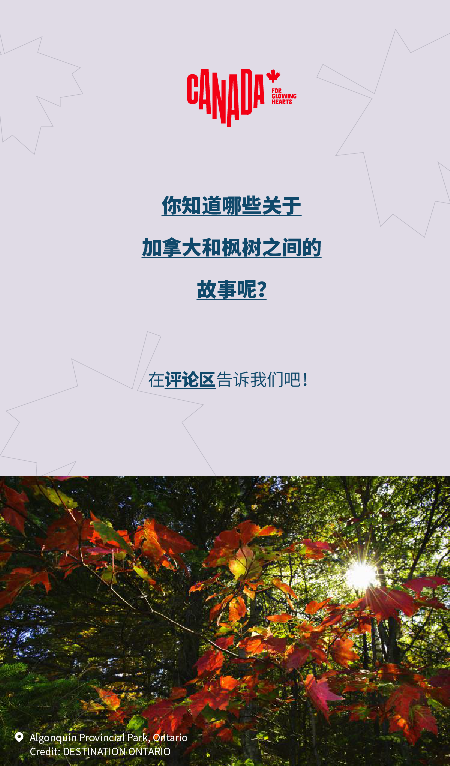 640_hziq8