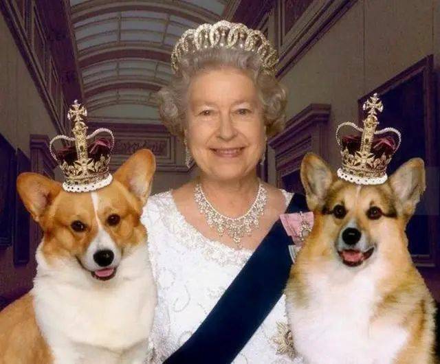 58e9d2442ff640d6b6241cddd6d6a574_bwpnl