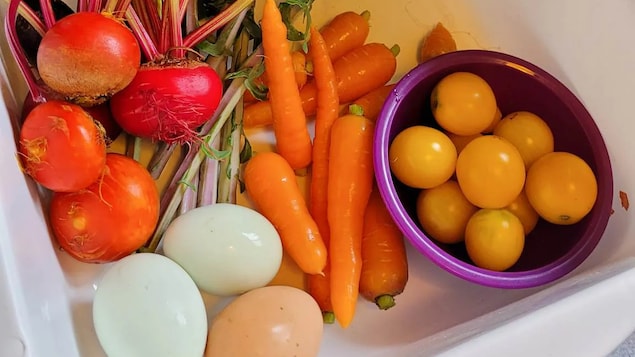 frc-a8b645bf2d3cf446f34a1521c21e8086_b22c7 frc-a8b645bf2d3cf446f34a1521c21e8086_b22c7