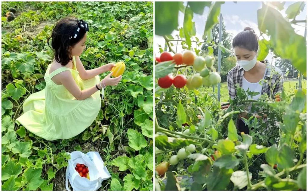 frc-8a5469567e28a578965ce9c8bc85e7fc_8sm0g