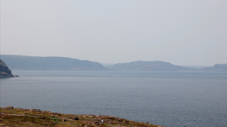 1130951173295079424_el3q7