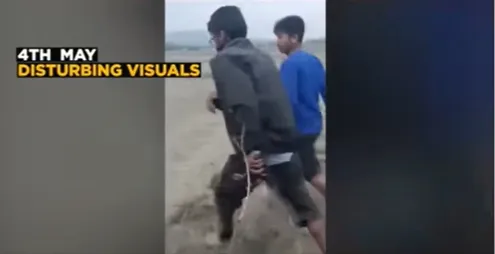 56714ce4caea4c9fd9d88b70de3e0513_mdsxr