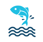 20231109_640_clmu7