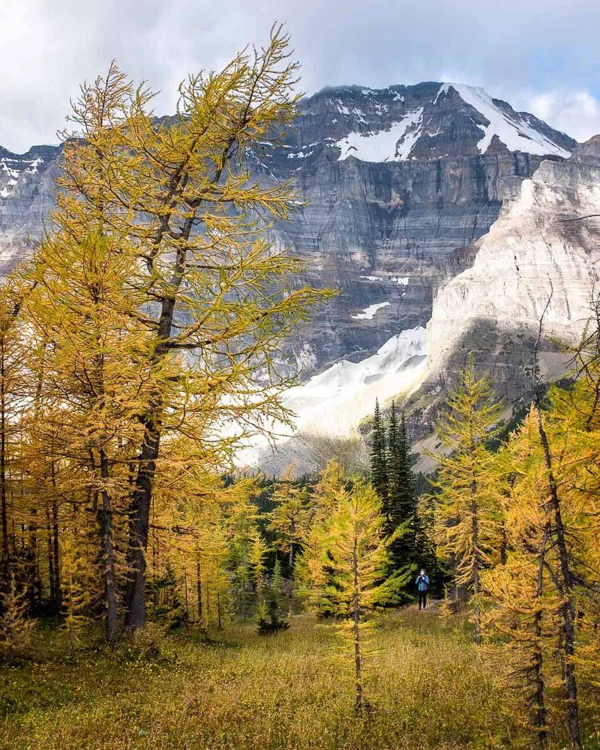 20231109_640_qlgs3