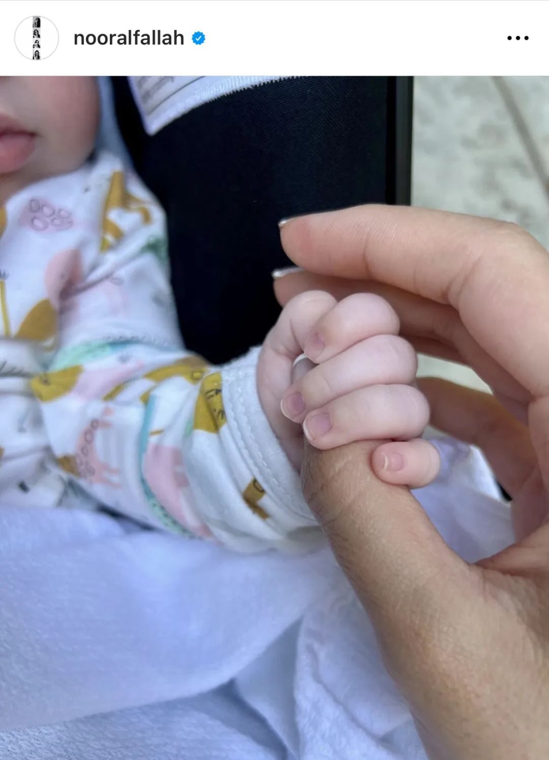 get_kkpgq0cr4xvz51934vn7