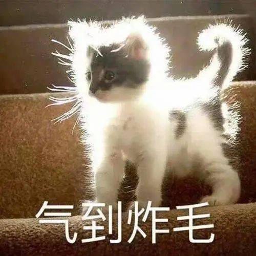 20231031_806222f1a0c044f2adcd96173c85a580_7ka0k
