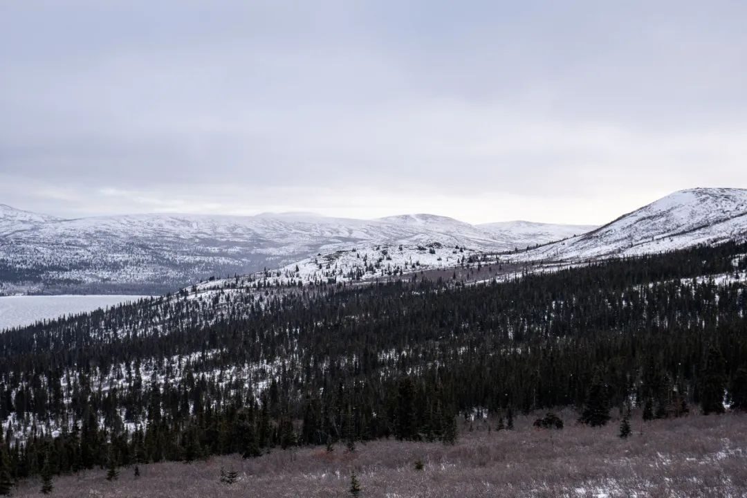 20231113_640_22a4d 20231113_640_22a4d