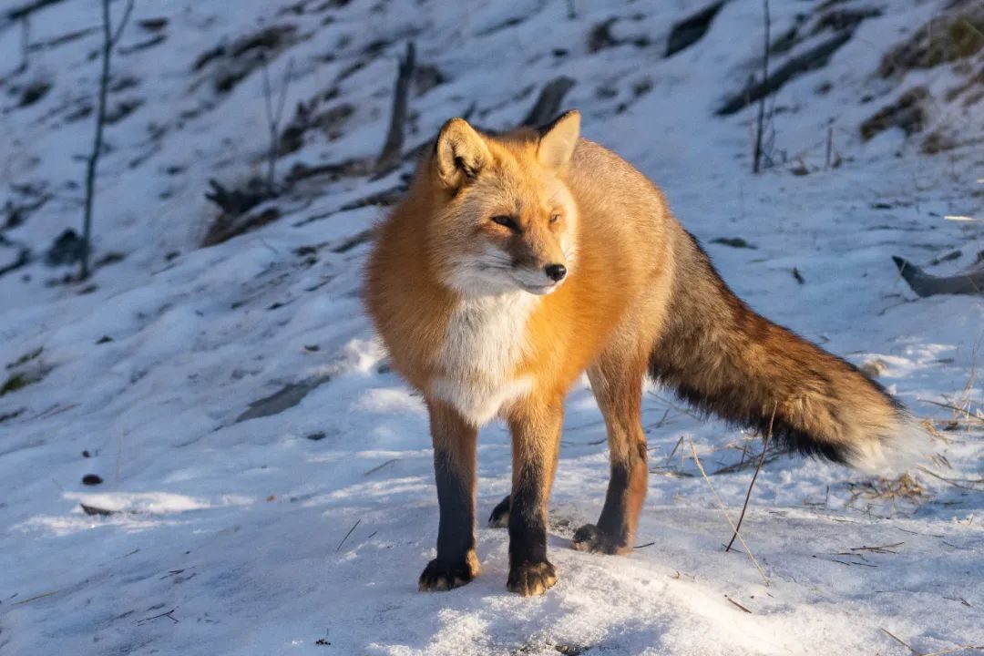 20231113_640_c0byq 20231113_640_c0byq