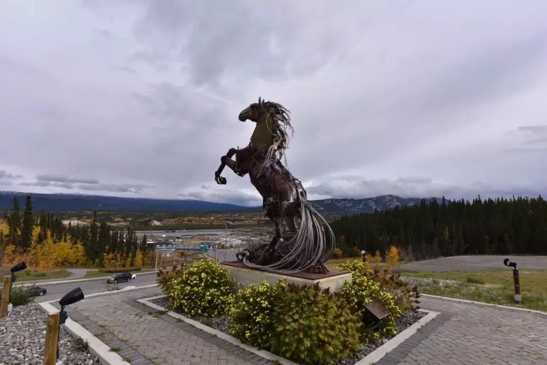 20231113_640_yqsg1 20231113_640_yqsg1