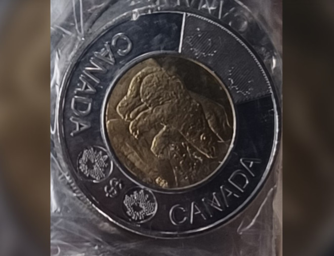 20231129_65673d538a6a9_g0v1t