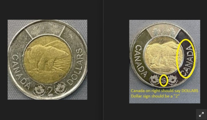 20231129_65673d5f2ca2e_qi5dd