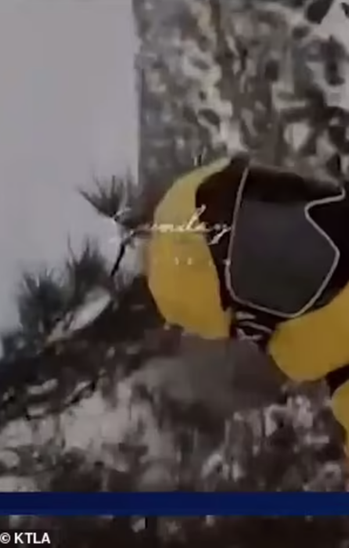 20240208_640_4namn 20240208_640_4namn