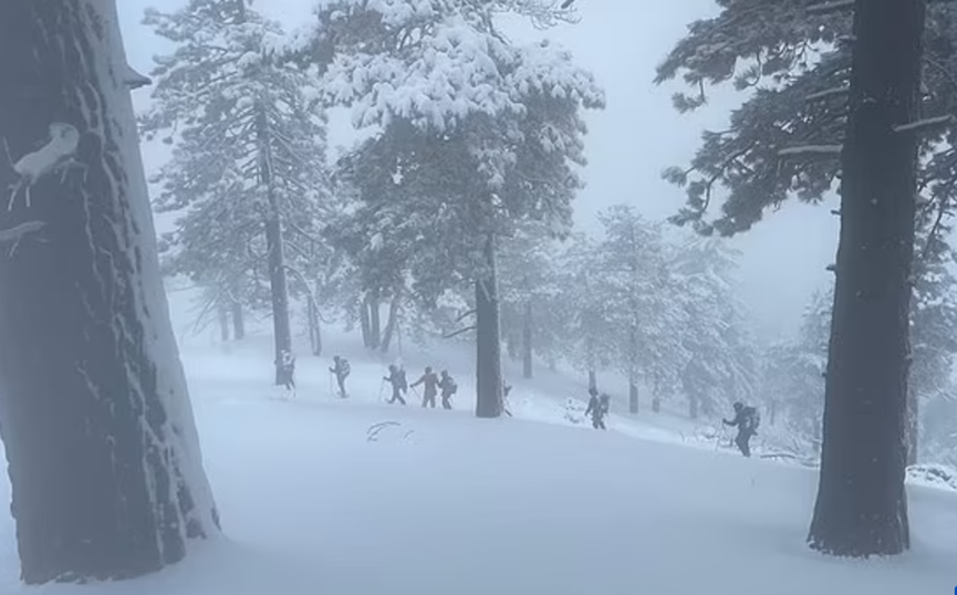 20240208_640_x9qbv 20240208_640_x9qbv