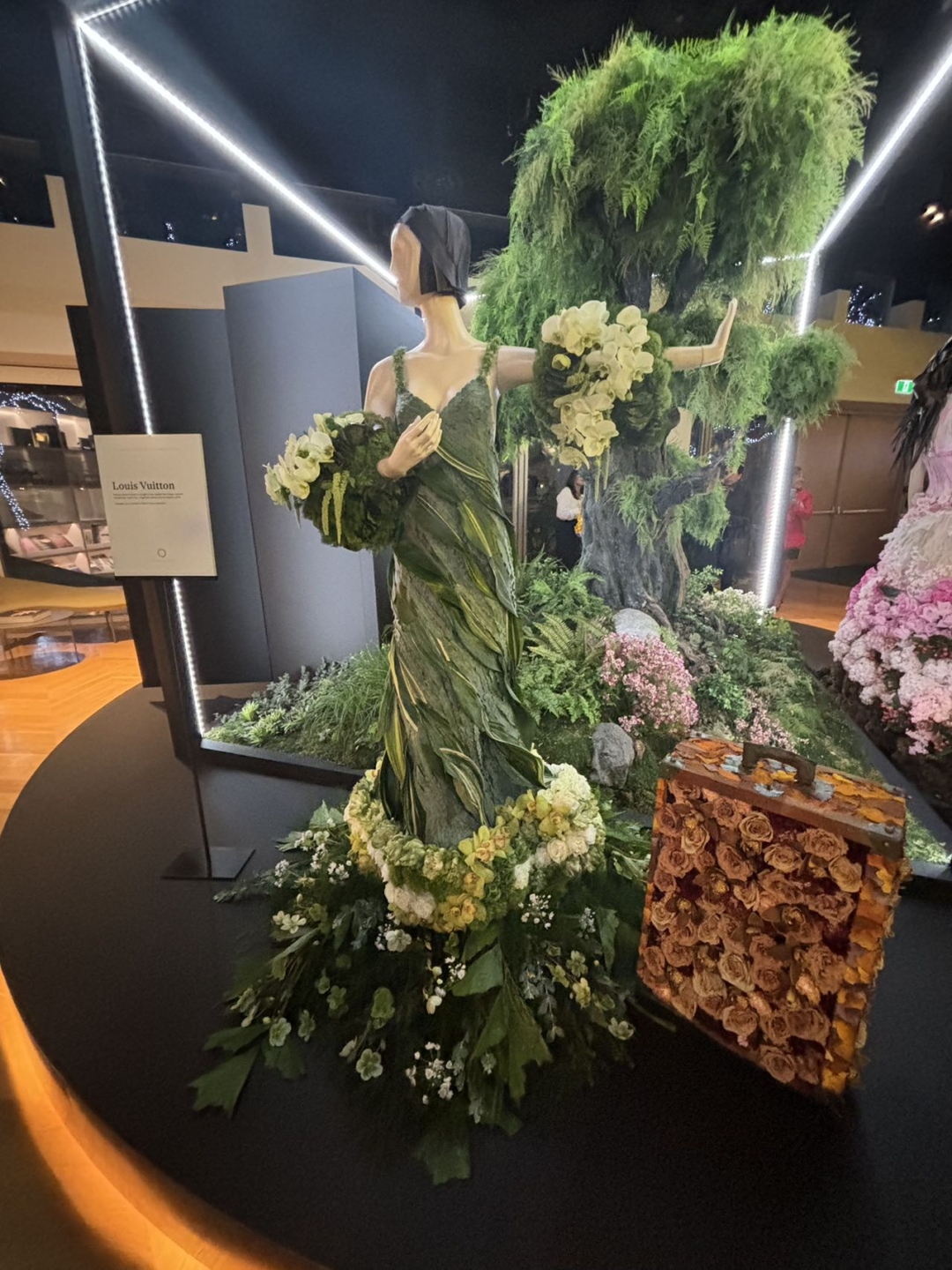 20240208_64f3c72e5570a238c1eb432ded112d68_km11r