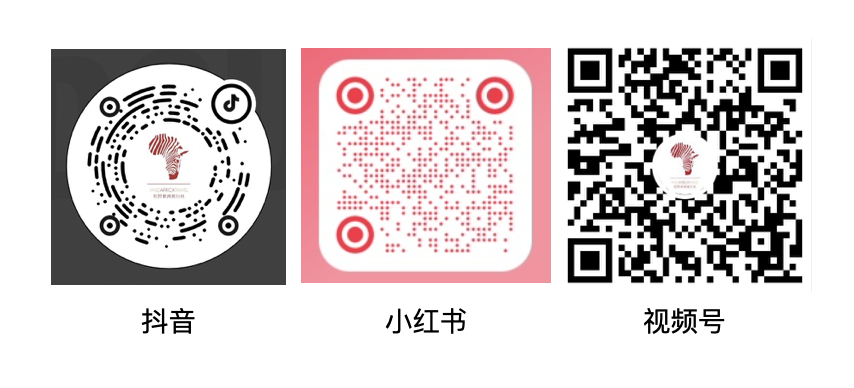 20240317_640_i9ngz
